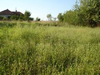 An Old Villa With Big Plot Lom
