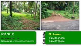39 Cents PLOT FOR SALE IN THRISS Kannapura