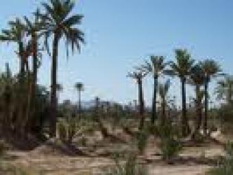 1H3600m Touristic area Marrakech Marrakech