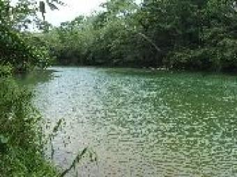 # 2020 - 58 ACRES LAND - Cayo, B Teakettle Village