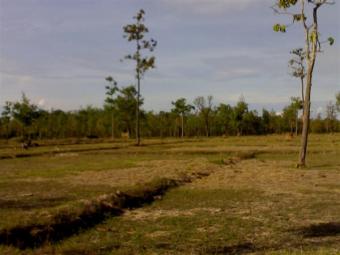 Land for sale at Vientian Vientiane