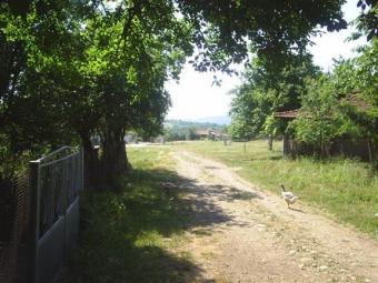 Plot, Elena, Palici Village Palitsi
