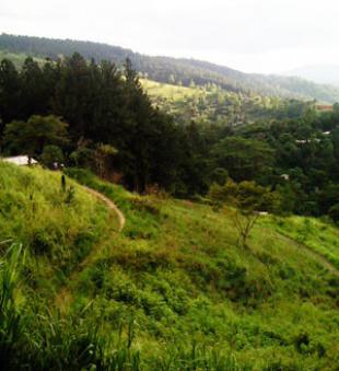 Beautiful land in Kandy Kandy