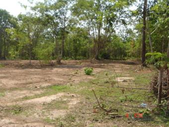 land for sell Vientiane