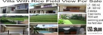 vila with rice view in canggu Canggu