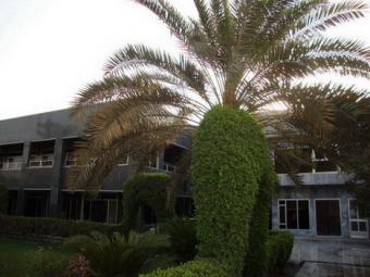 Villa for rent in Baghdad Baghdad