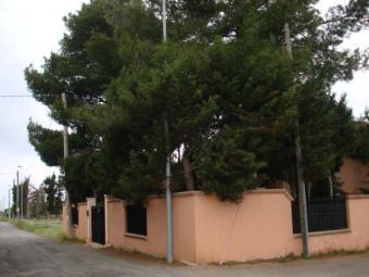 Big villa in Salento Lecce