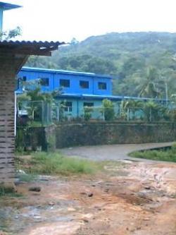 Southern Tea Factory with estate Matara