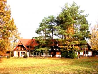 Buy 50ha property located in For Puszcza Notecka