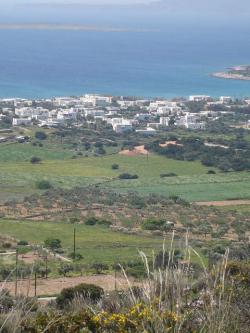 D15 LAND FOR SALE PAROS ISLAND Paros