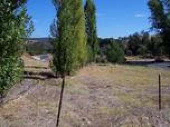 Land for Sale Heaps of Potential Balingup