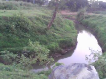 Suitable Lot for Resort Dev`t Rodriguez