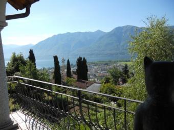 House - Villa Bellinzona