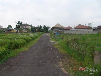 5are canggu land rice field view Bali