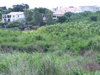 Bare land of 2975m2 at Pereybere Pereybere