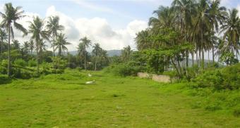 large Lot near Aroma BEACH Butong Taal,batangas
