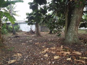 Land for Sale Boralesgamuwa South