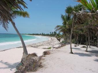 Beautiful Tulum beach with 20 m Quintana Roo