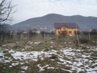 terrain surface: 1200 m2 Baia Mare