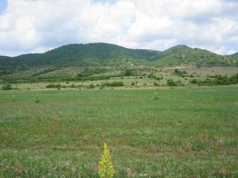 Dream Bulgarian Property Sunny Beach