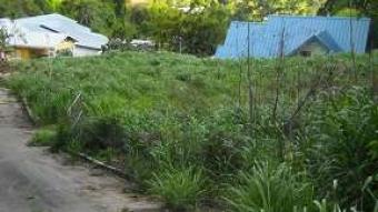 St.Anns Executive Plots St.anns