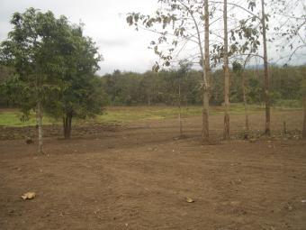 Prime land for sale Luang Prabang