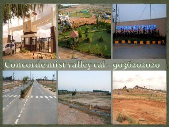 Concorde Mist valley-Rs-600/- pe Bangalore