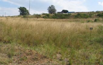 Plot for Sale Manzini
