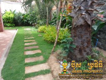 SMALL MODERN SWIMMING POOL STYLE Phnom Penh