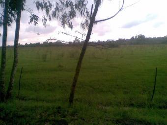 Prime 5 Acres in Karen for Sale Nairobi