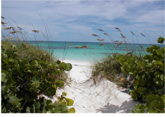 Ocean front lots Cat Island