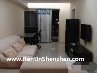 Shenzhen Apartment Rent/NanShan/ Shenzhen