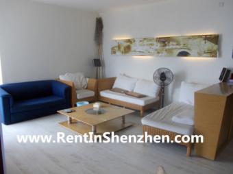 Shenzhen Apartment FuTian CBD/84 Shenzhen