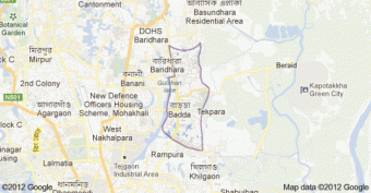 Land For Sale in Badda Baridhara