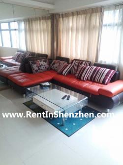 LuoHu CBD,95sqm 2BR 10000rmb,DiW Shenzhen