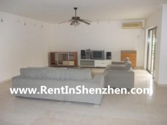 OCT/172sqm 3BR 11000rmb/Shenzhen Shenzhen