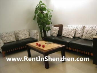 15min to COCO park,2br,87sqm,750 Shenzhen