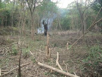 Land For Sale in Belle Isle Belle Isle