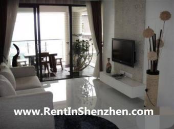 Shenzhen Apartment FuTian CBD/5m Shenzhen
