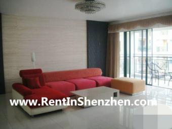 OCT new building/Portofino/203sq Shenzhen