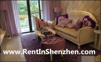 2012 new building,Shenzhen LongG Shenzhen