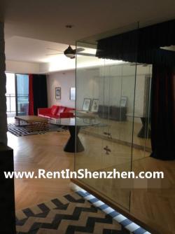NanShan Apartment Rent/beautiful Shenzhen