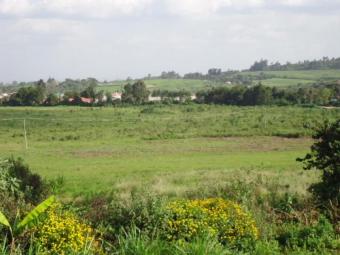Land for sale 40 acres kabuku Limuru