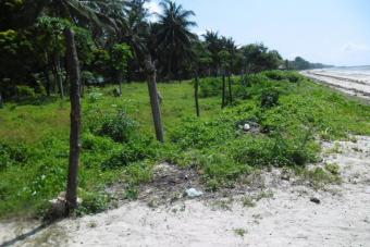 SAND BEACH PLOT Kikambala