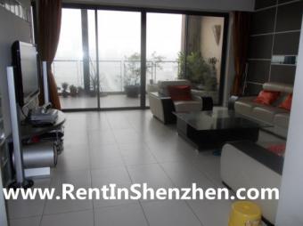 Shenzhen Apartment Rent/NanShan, Shenzhen