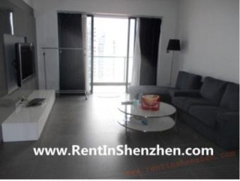 2010 New Building Shenzhen SheKo Shenzhen