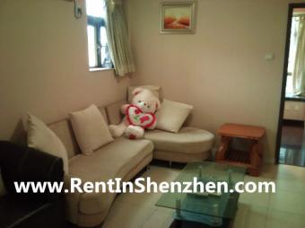 Near Mixc,Metro,Shenzhen Luohu a Shenzhen