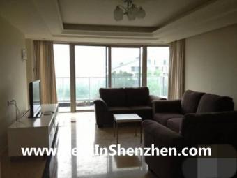 2011 New building in SheKou Sea- Shenzhen