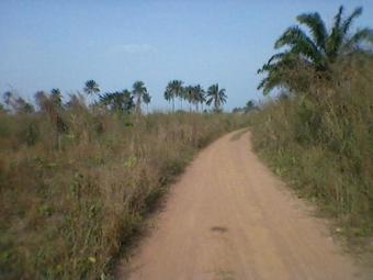 8 ACRES FOR SALE at N650k/acre Ogun