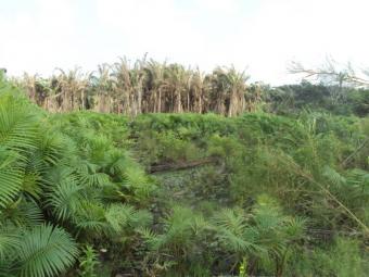 land   Isheri North Lagos Lagos